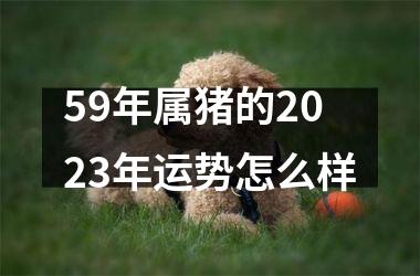 <h3>59年属猪的2025年运势怎么样