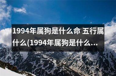 1994年属狗是什么命 五行属什么(1994年属狗是什么命五行)