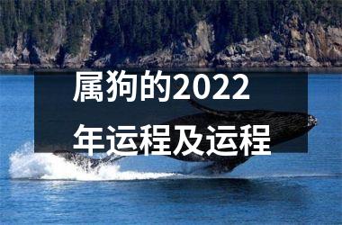 属狗的2025年运程及运程