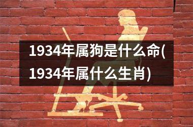 1934年属狗是什么命(1934年属什么生肖)