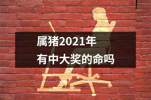 属猪2025年有中大奖的命吗