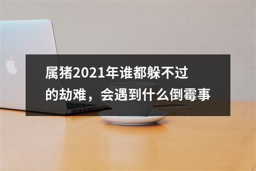 属猪2025年谁都躲不过的劫难，会遇到什么倒霉事