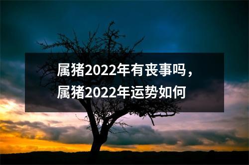 属猪2025年有丧事吗，属猪2025年运势如何