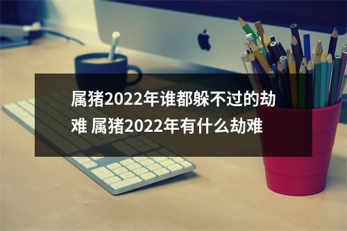 属猪2025年谁都躲不过的劫难属猪2025年有什么劫难