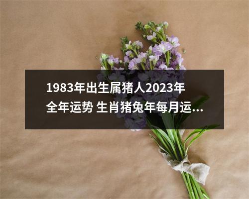 <h3>1983年出生属猪人2025年全年运势生肖猪兔年每月运势