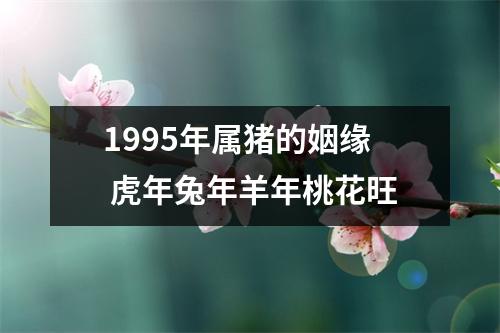 <h3>1995年属猪的姻缘虎年兔年羊年桃花旺