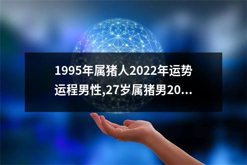 1995年属猪人2025年运势运程男性,27岁属猪男2025年每月运程