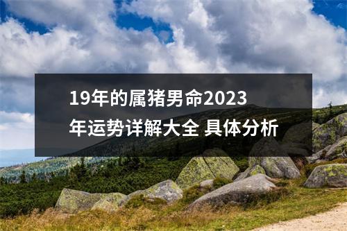 19年的属猪男命2025年运势详解大全具体分析