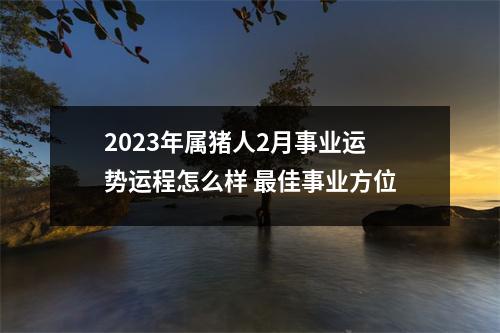<h3>2025年属猪人2月事业运势运程怎么样佳事业方位