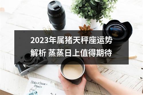 2025年属猪天秤座运势解析蒸蒸日上值得期待