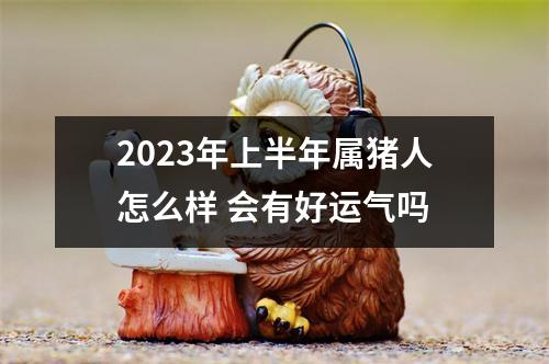 2025年上半年属猪人怎么样会有好运气吗