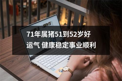 <h3>71年属猪51到52岁好运气健康稳定事业顺利