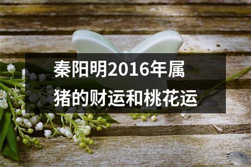 秦阳明2016年属猪的财运和桃花运