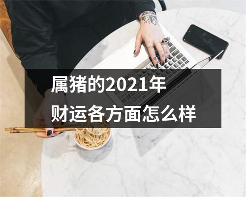 属猪的2025年财运各方面怎么样