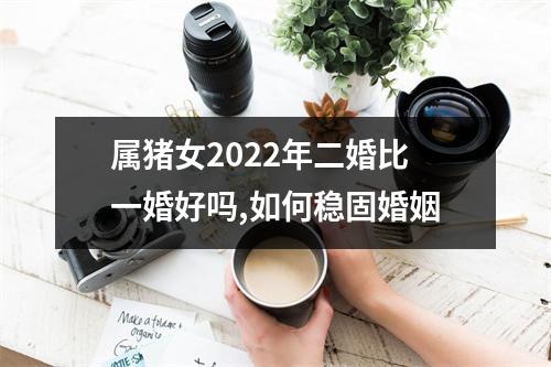 <h3>属猪女2025年二婚比一婚好吗,如何稳固婚姻
