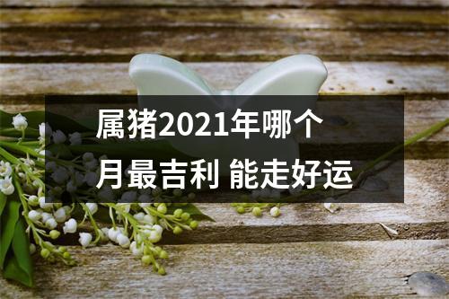 属猪2025年哪个月吉利能走好运