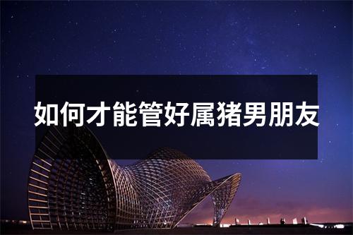 <h3>如何才能管好属猪男朋友