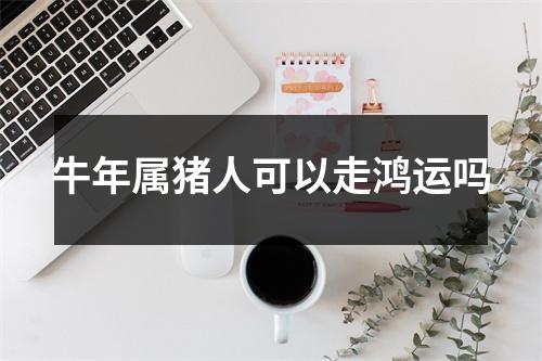 牛年属猪人可以走鸿运吗