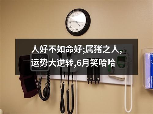 <h3>人好不如命好;属猪之人,运势大逆转,6月笑哈哈