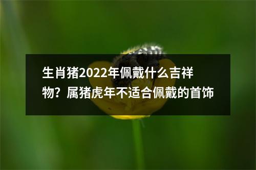 生肖猪2025年佩戴什么吉祥物？属猪虎年不适合佩戴的首饰