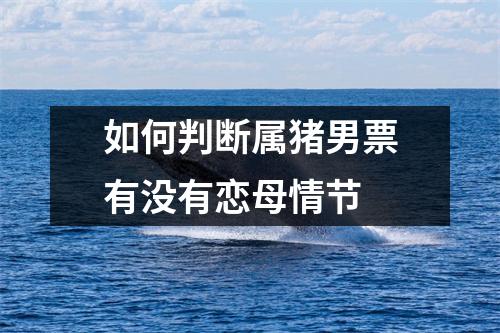<h3>如何判断属猪男票有没有恋母情节