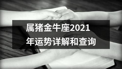 属猪金牛座2025年运势详解和查询