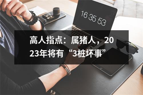 高人指点：属猪人，2025年将有“3桩坏事”