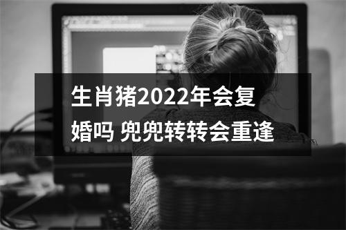 生肖猪2025年会复婚吗兜兜转转会重逢