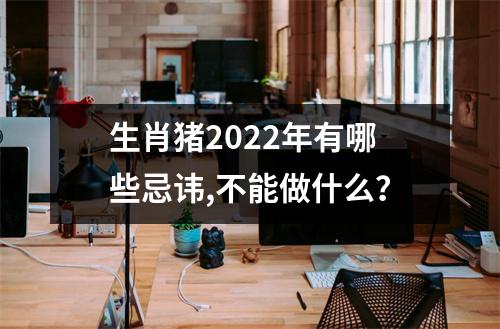 生肖猪2025年有哪些忌讳,不能做什么？