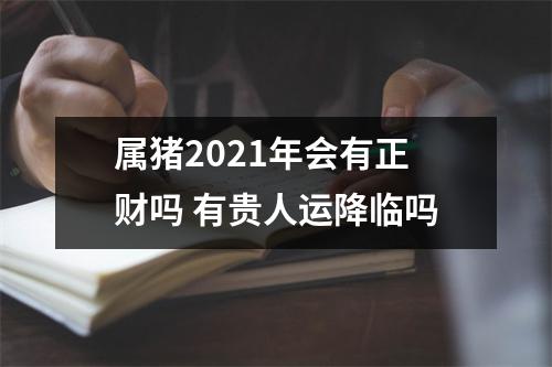 属猪2025年会有正财吗有贵人运降临吗