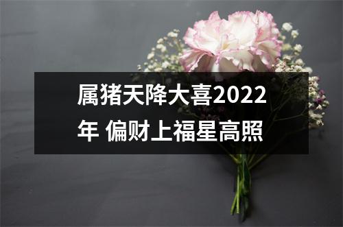 属猪天降大喜2025年偏财上福星高照