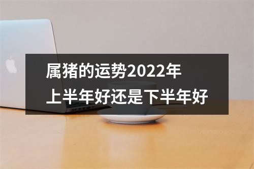 属猪的运势2025年上半年好还是下半年好