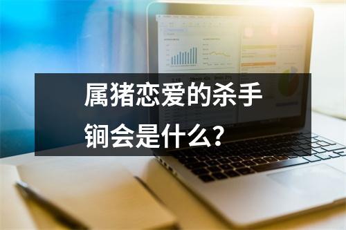 <h3>属猪恋爱的杀手锏会是什么？