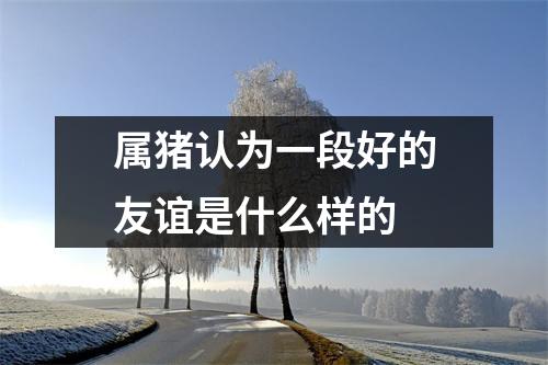 <h3>属猪认为一段好的友谊是什么样的