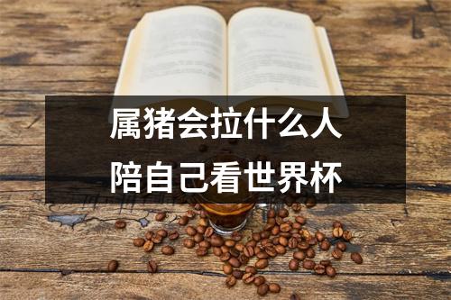 <h3>属猪会拉什么人陪自己看世界杯