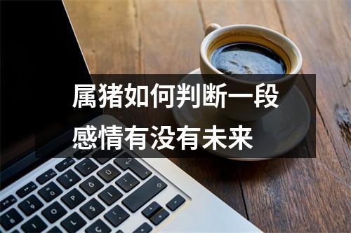 属猪如何判断一段感情有没有未来