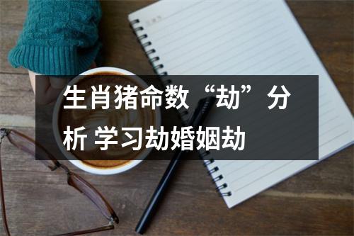 <h3>生肖猪命数“劫”分析学习劫婚姻劫