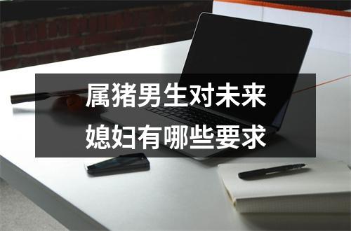 <h3>属猪男生对未来媳妇有哪些要求