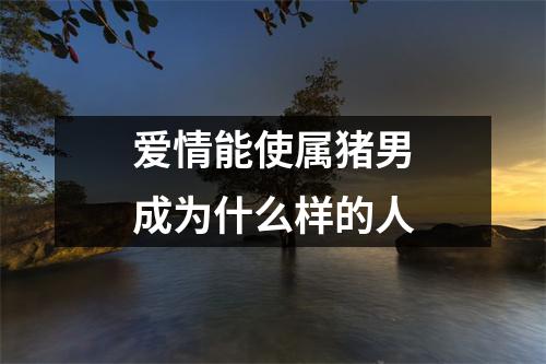 <h3>爱情能使属猪男成为什么样的人