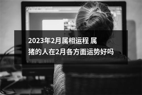 2025年2月属相运程属猪的人在2月各方面运势好吗