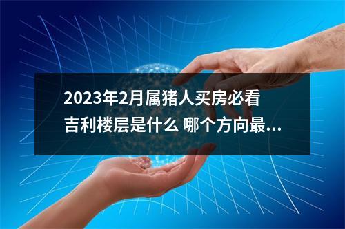 2025年2月属猪人买房必看吉利楼层是什么哪个方向旺