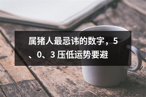 属猪人忌讳的数字，5、0、3压低运势要避