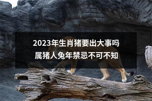 2025年生肖猪要出大事吗属猪人兔年禁忌不可不知