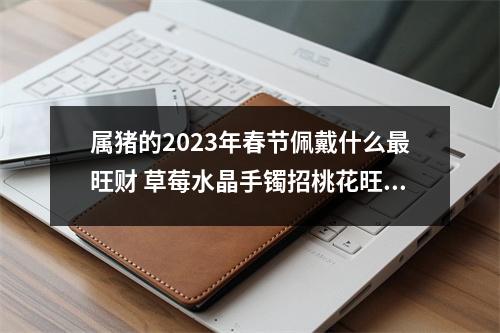 属猪的2025年春节佩戴什么旺财草莓水晶手镯招桃花旺财