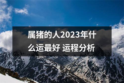 属猪的人2025年什么运好运程分析