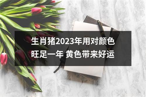 生肖猪2025年用对颜色旺足一年黄色带来好运