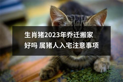 生肖猪2025年乔迁搬家好吗属猪人入宅注意事项