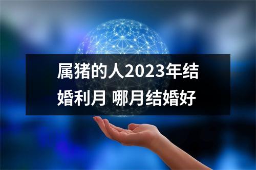 属猪的人2025年结婚利月哪月结婚好