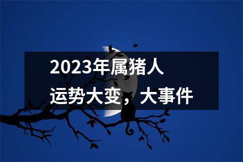 2025年属猪人运势大变，大事件