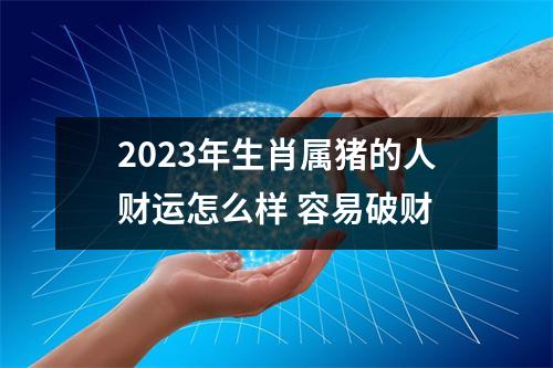 2025年生肖属猪的人财运怎么样容易破财